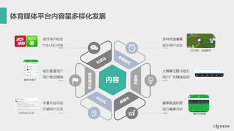 数据驱动未来 199it互联网数据服务的核心价值与多元化发展